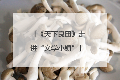 《天下良田》走进“文学小镇”