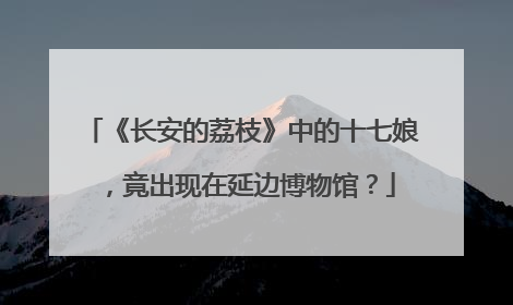 《长安的荔枝》中的十七娘，竟出现在延边博物馆？