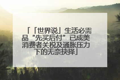 「世界说」生活必需品“先买后付”已成美消费者关税及通胀压力下的无奈抉择