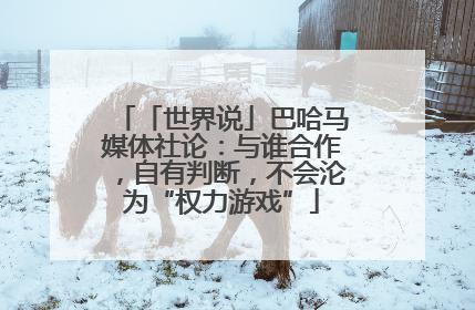 「世界说」巴哈马媒体社论：与谁合作，自有判断，不会沦为“权力游戏”