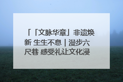 「文脉华章」非遗焕新 生生不息｜漫步六尺巷 感受礼让文化浸润的“巷”往生活