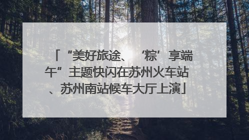 “美好旅途、‘粽’享端午”主题快闪在苏州火车站、苏州南站候车大厅上演