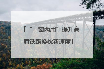 “一窗两用”提升高原铁路换枕新速度