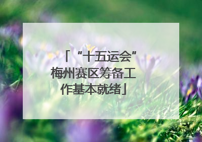 “十五运会”梅州赛区筹备工作基本就绪