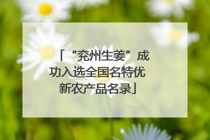 “兖州生姜”成功入选全国名特优新农产品名录