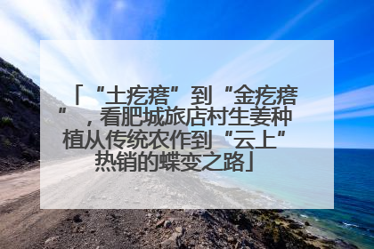 “土疙瘩”到“金疙瘩”，看肥城旅店村生姜种植从传统农作到“云上”热销的蝶变之路