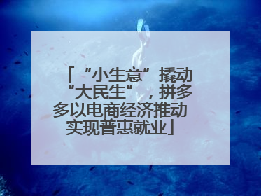 “小生意”撬动“大民生”，拼多多以电商经济推动实现普惠就业