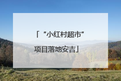 “小红村超市”项目落地安吉