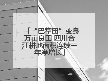 “巴掌田”变身万亩良田 四川合江耕地面积连续三年净增长