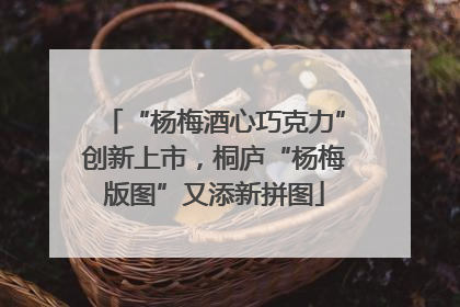 “杨梅酒心巧克力”创新上市，桐庐“杨梅版图”又添新拼图