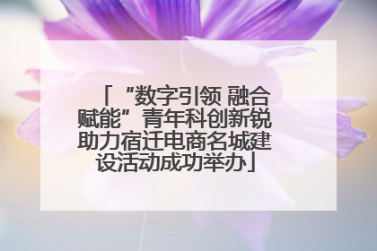 “数字引领 融合赋能”青年科创新锐助力宿迁电商名城建设活动成功举办