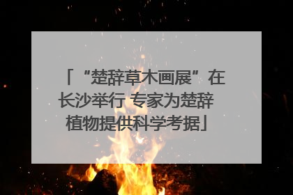 “楚辞草木画展”在长沙举行 专家为楚辞植物提供科学考据