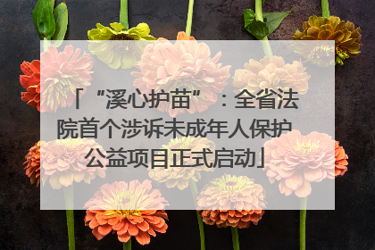 “溪心护苗”：全省法院首个涉诉未成年人保护公益项目正式启动