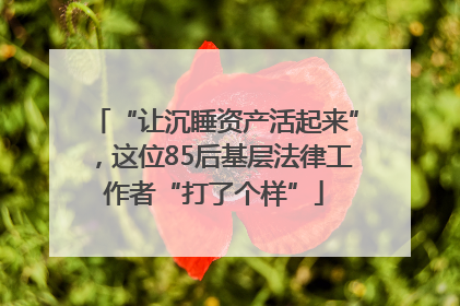 “让沉睡资产活起来”，这位85后基层法律工作者“打了个样”