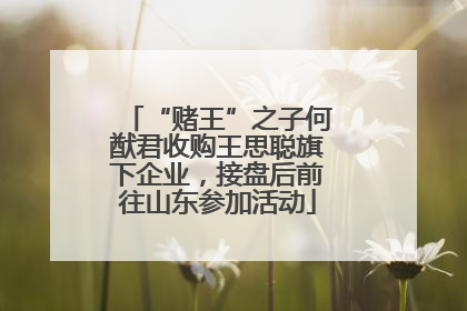 “赌王”之子何猷君收购王思聪旗下企业，接盘后前往山东参加活动
