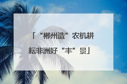 “郴州造”农机耕耘非洲好“丰”景