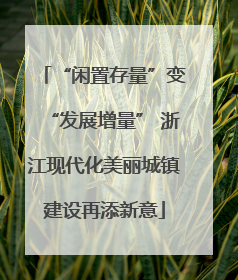 “闲置存量”变“发展增量” 浙江现代化美丽城镇建设再添新意
