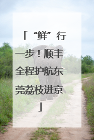 “鲜”行一步！顺丰全程护航东莞荔枝进京
