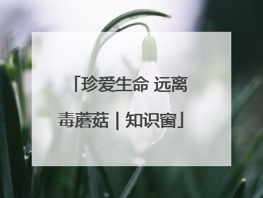 珍爱生命 远离毒蘑菇｜知识窗