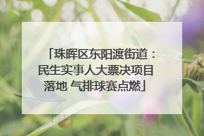 珠晖区东阳渡街道：民生实事人大票决项目落地 气排球赛点燃