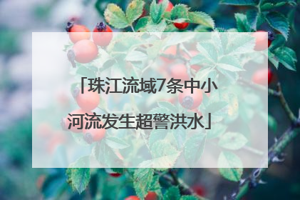 珠江流域7条中小河流发生超警洪水
