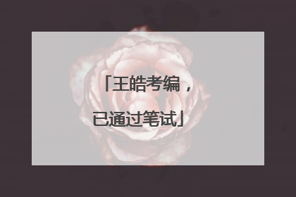 王皓考编，已通过笔试