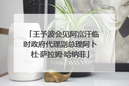 王予波会见阿富汗临时政府代理副总理阿卜杜·萨拉姆·哈纳菲