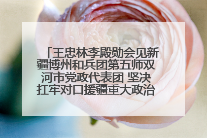 王忠林李殿勋会见新疆博州和兵团第五师双河市党政代表团 坚决扛牢对口援疆重大政治责任 推动双方实现优势互补务实合作
