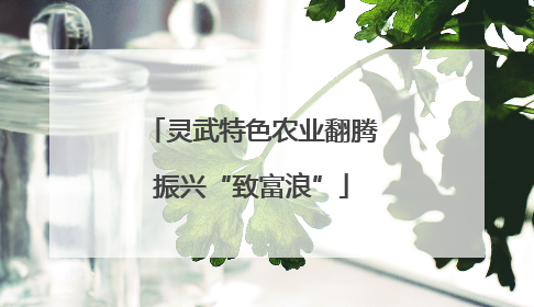 灵武特色农业翻腾振兴“致富浪”