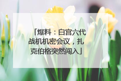 爆料：白宫六代战机机密会议，扎克伯格突然闯入