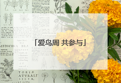 爱鸟周 共参与