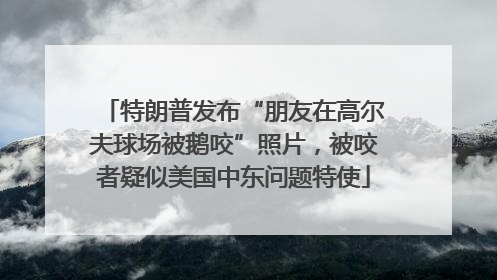 特朗普发布“朋友在高尔夫球场被鹅咬”照片，被咬者疑似美国中东问题特使