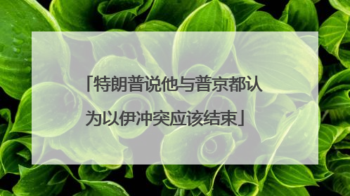 特朗普说他与普京都认为以伊冲突应该结束