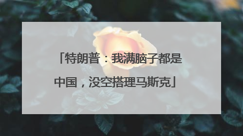 特朗普：我满脑子都是中国，没空搭理马斯克