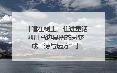睡在树上、住进童话 四川马边县把茶园变成“诗与远方”