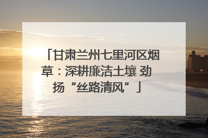 甘肃兰州七里河区烟草：深耕廉洁土壤 劲扬“丝路清风”