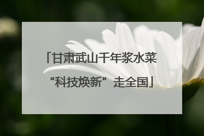 甘肃武山千年浆水菜“科技焕新”走全国
