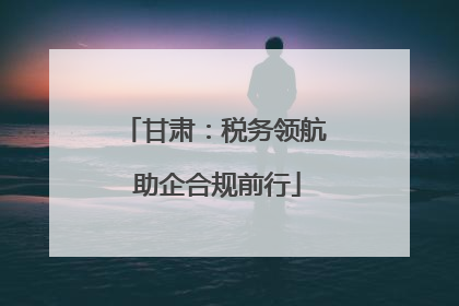 甘肃：税务领航 助企合规前行