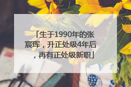 生于1990年的张宸珲，升正处级4年后，再有正处级新职