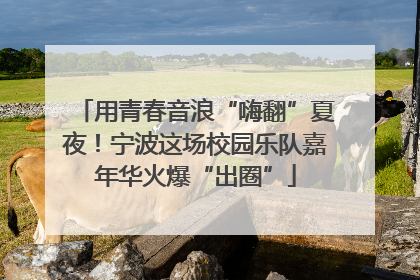 用青春音浪“嗨翻”夏夜！宁波这场校园乐队嘉年华火爆“出圈”