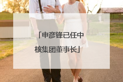 申彦锋已任中核集团董事长