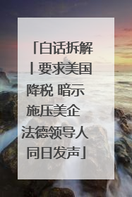 白话拆解丨要求美国降税 暗示施压美企 法德领导人同日发声