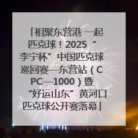 相聚东营港 一起匹克球！2025“李宁杯”中国匹克球巡回赛—东营站（CPC—1000）暨“好运山东”黄河口匹克球公开赛落幕