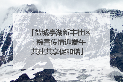盐城亭湖新丰社区：粽香传情迎端午 共建共享促和谐