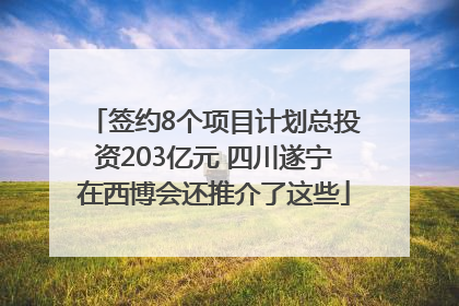 签约8个项目计划总投资203亿元 四川遂宁在西博会还推介了这些