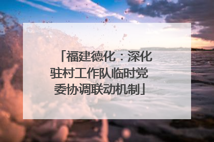 福建德化：深化驻村工作队临时党委协调联动机制