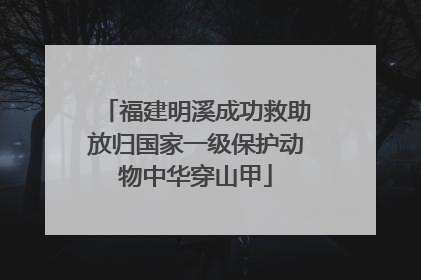福建明溪成功救助放归国家一级保护动物中华穿山甲