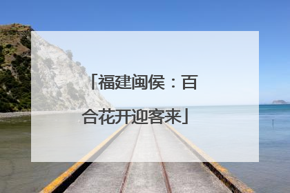 福建闽侯：百合花开迎客来