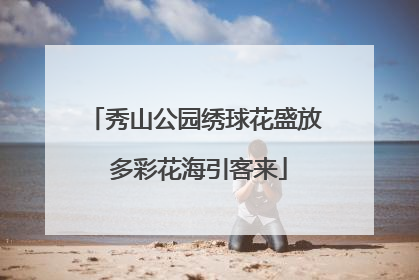 秀山公园绣球花盛放 多彩花海引客来