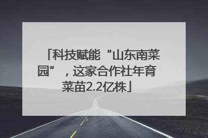 科技赋能“山东南菜园”，这家合作社年育菜苗2.2亿株